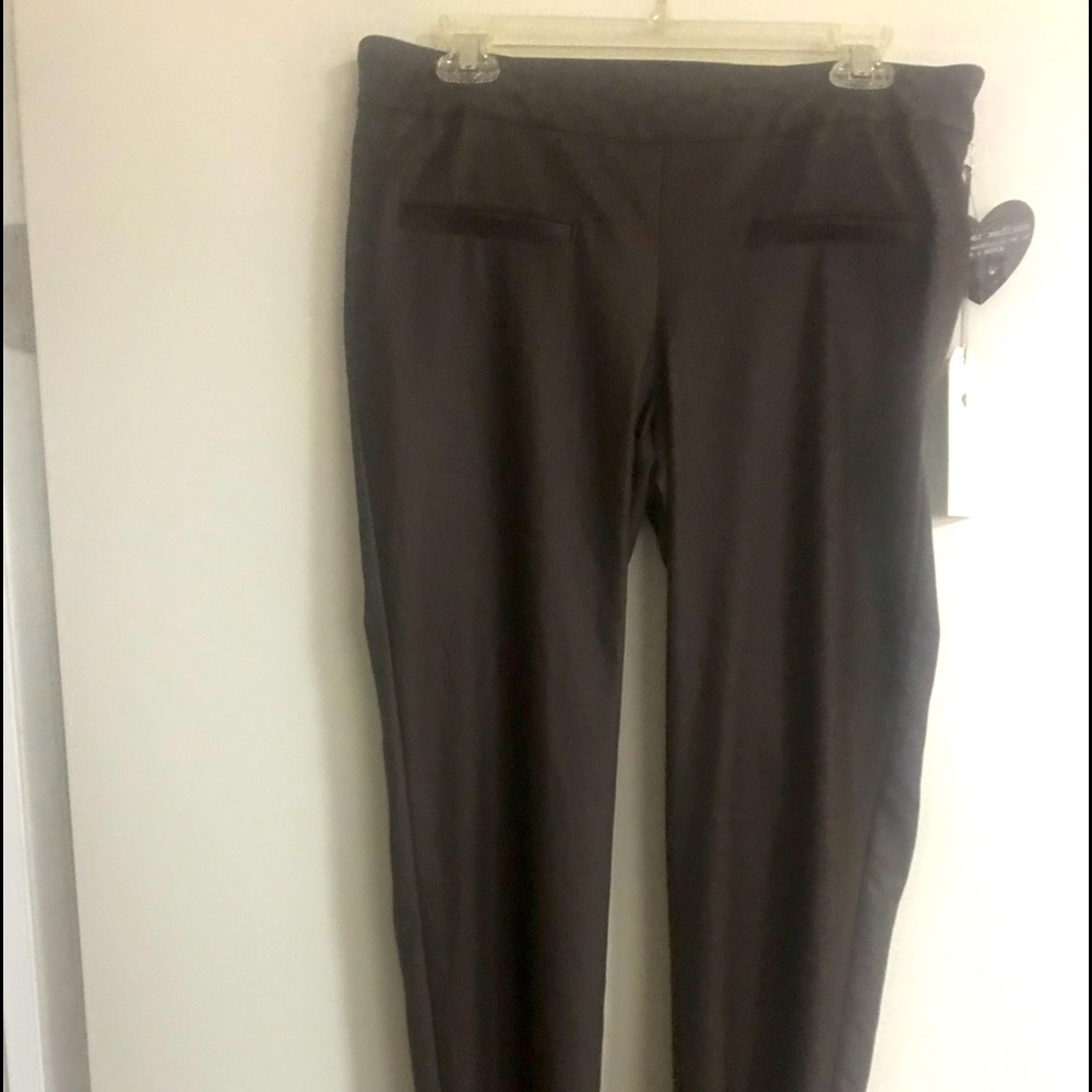 Brown Faux leather jeggings with flat front